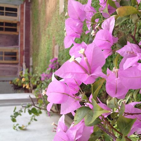 Manik Home Stay Kudapaduwa Dış mekan fotoğraf