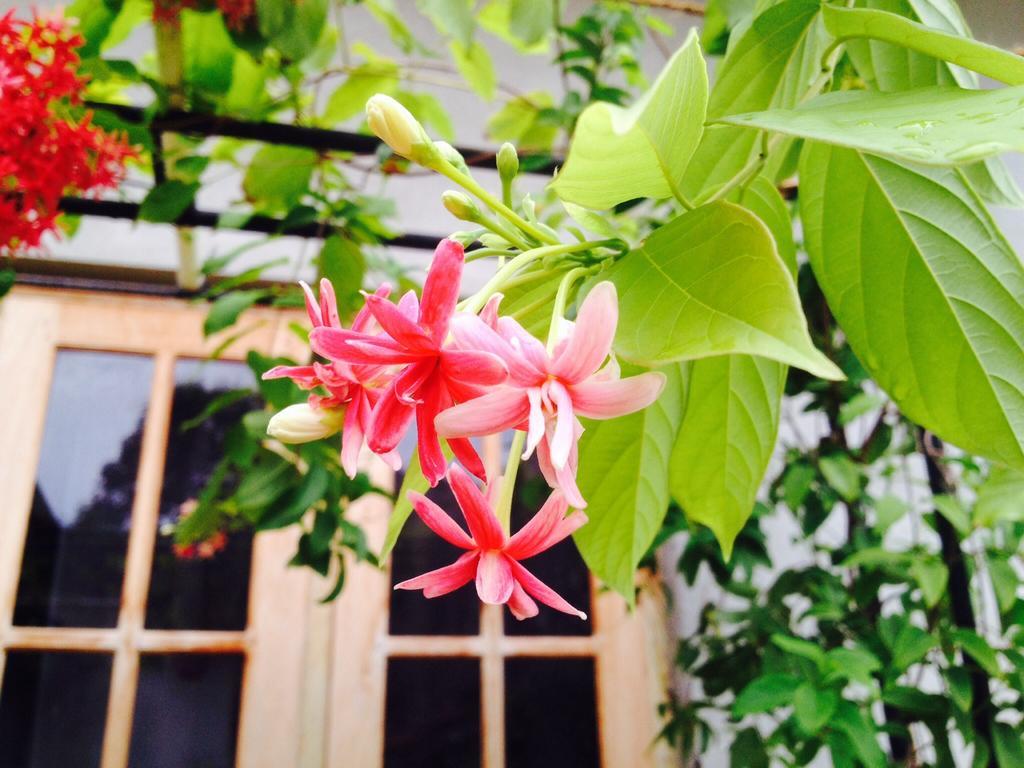 Manik Home Stay Kudapaduwa Dış mekan fotoğraf